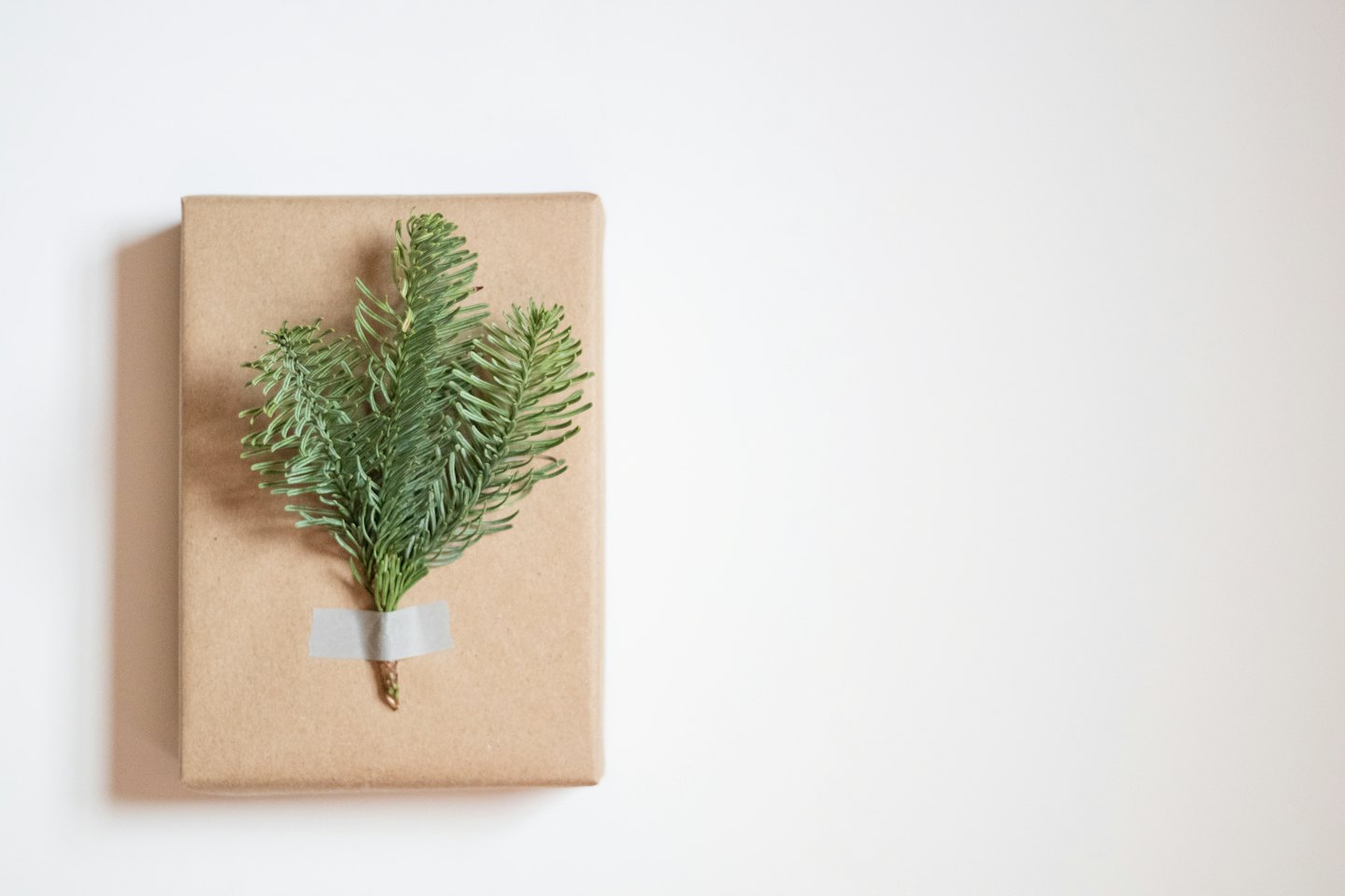Brown gift box with fir branches on white surface.